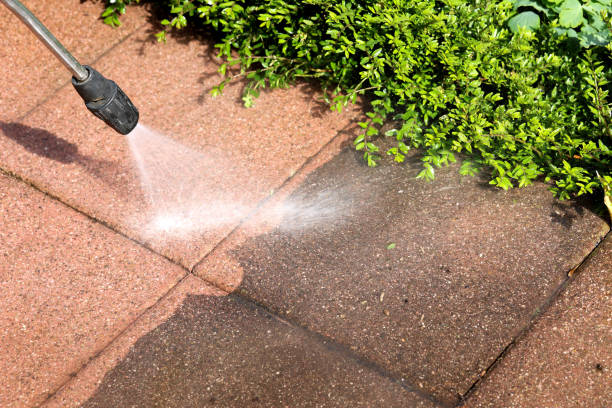 Best Roof Pressure Washing  in Twin City, GA